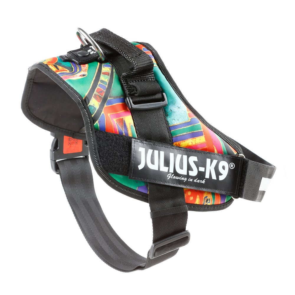 Julius-K9 IDC Powerharness Reggae 3