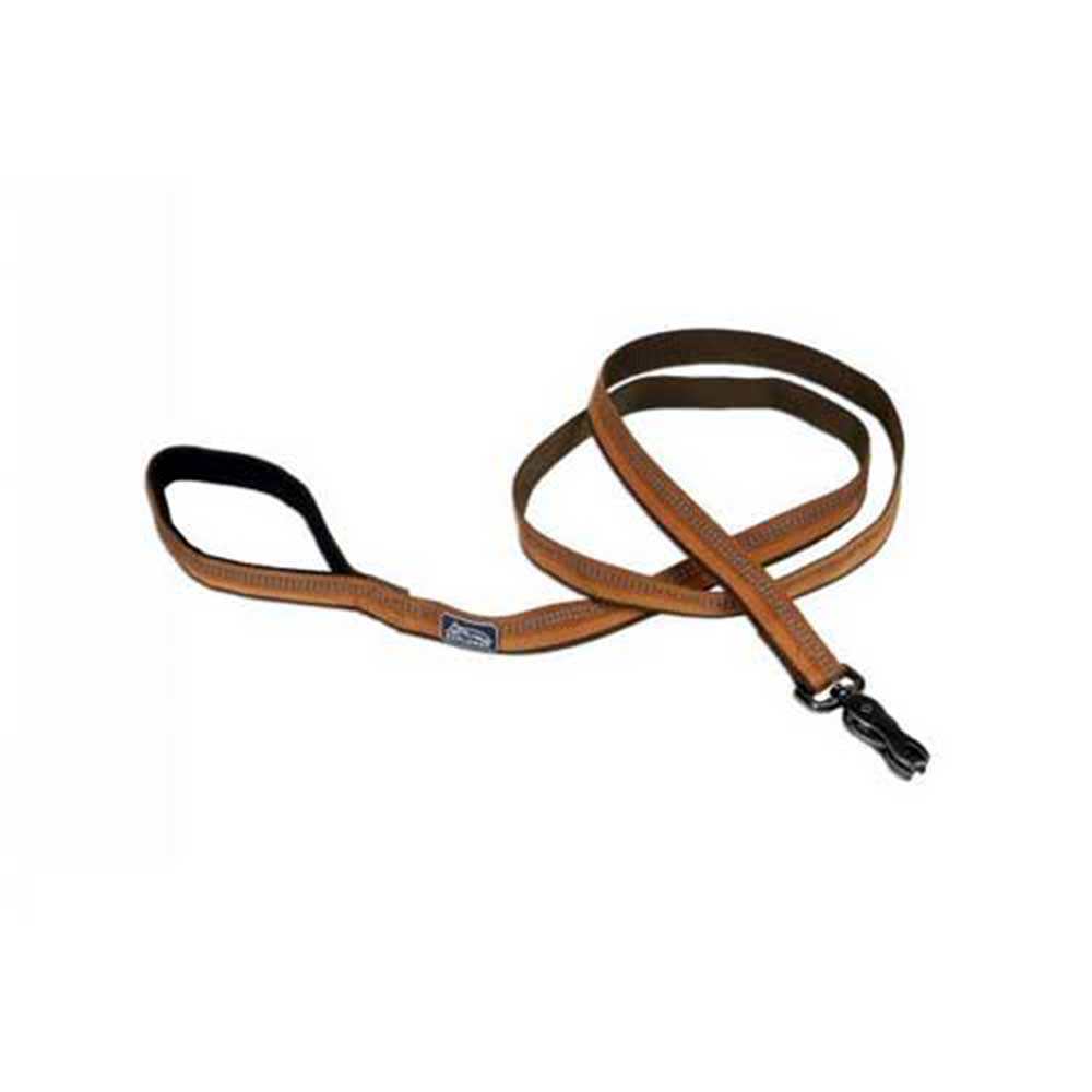 K9 Explorer Ref Leash W/Scr Clip 1"Orang