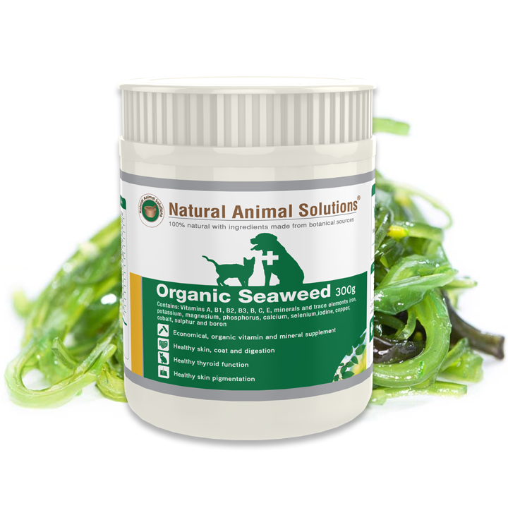 Natural Animal Solutions Organic Seaweed Supplement For Dogs, Cats, Horses & Other Livestock Animals