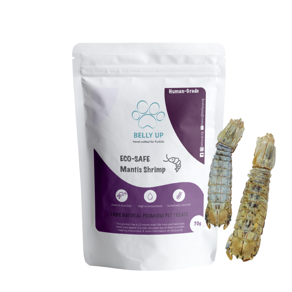 BellyUp EcoSafe Mantis Shrimp 70g