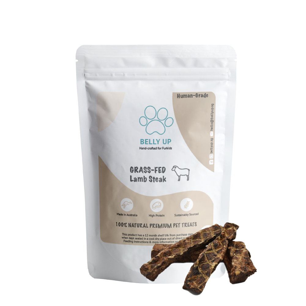 BellyUp Lamb Steak Dog Treat 125g