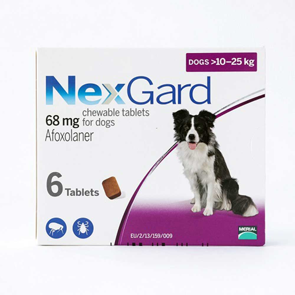 NexGard Chews For Medium Dogs 10-25 kg (24.1-60 lbs) 6 Pack