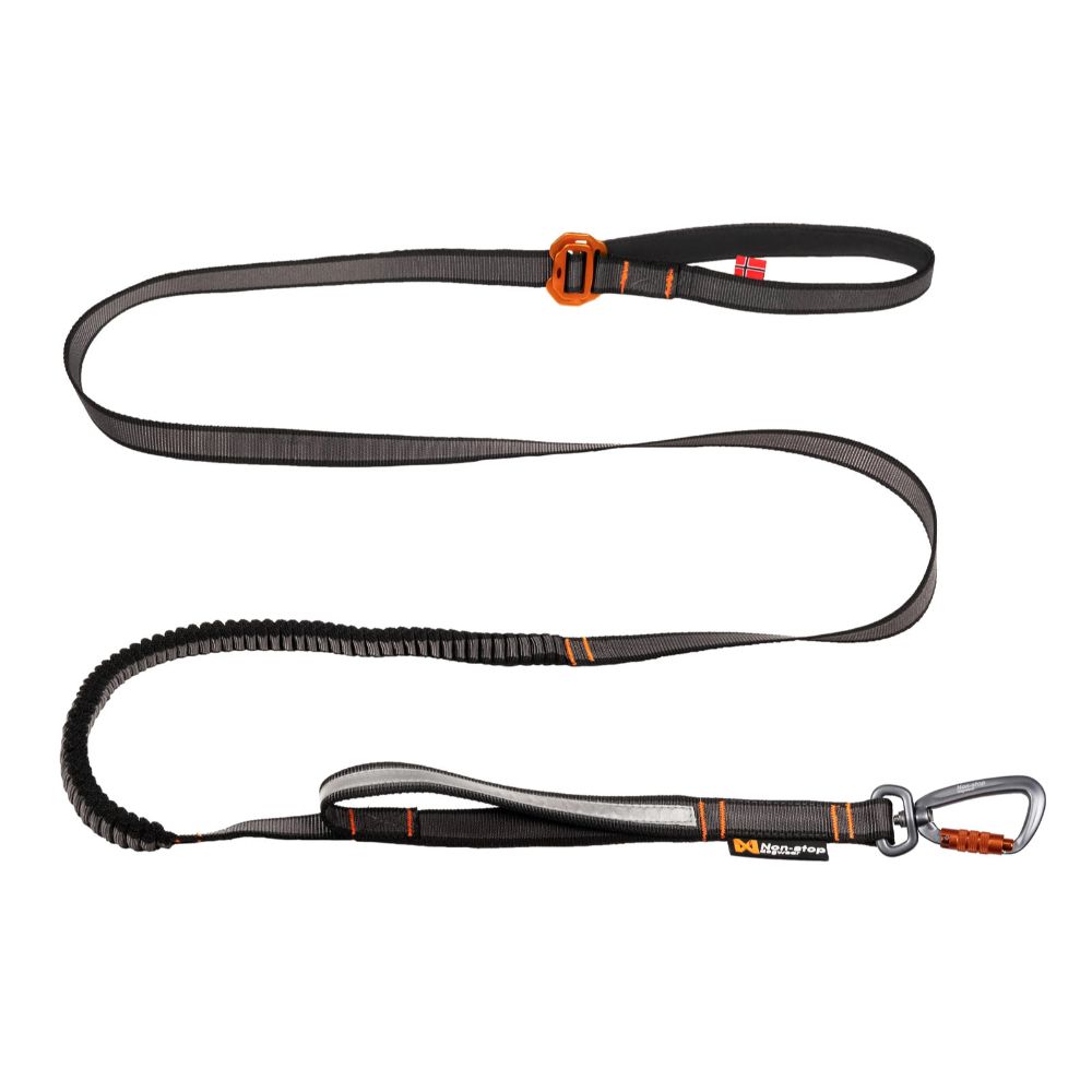 Non-Stop Adjustable Touring Bungee Leash For Dogs