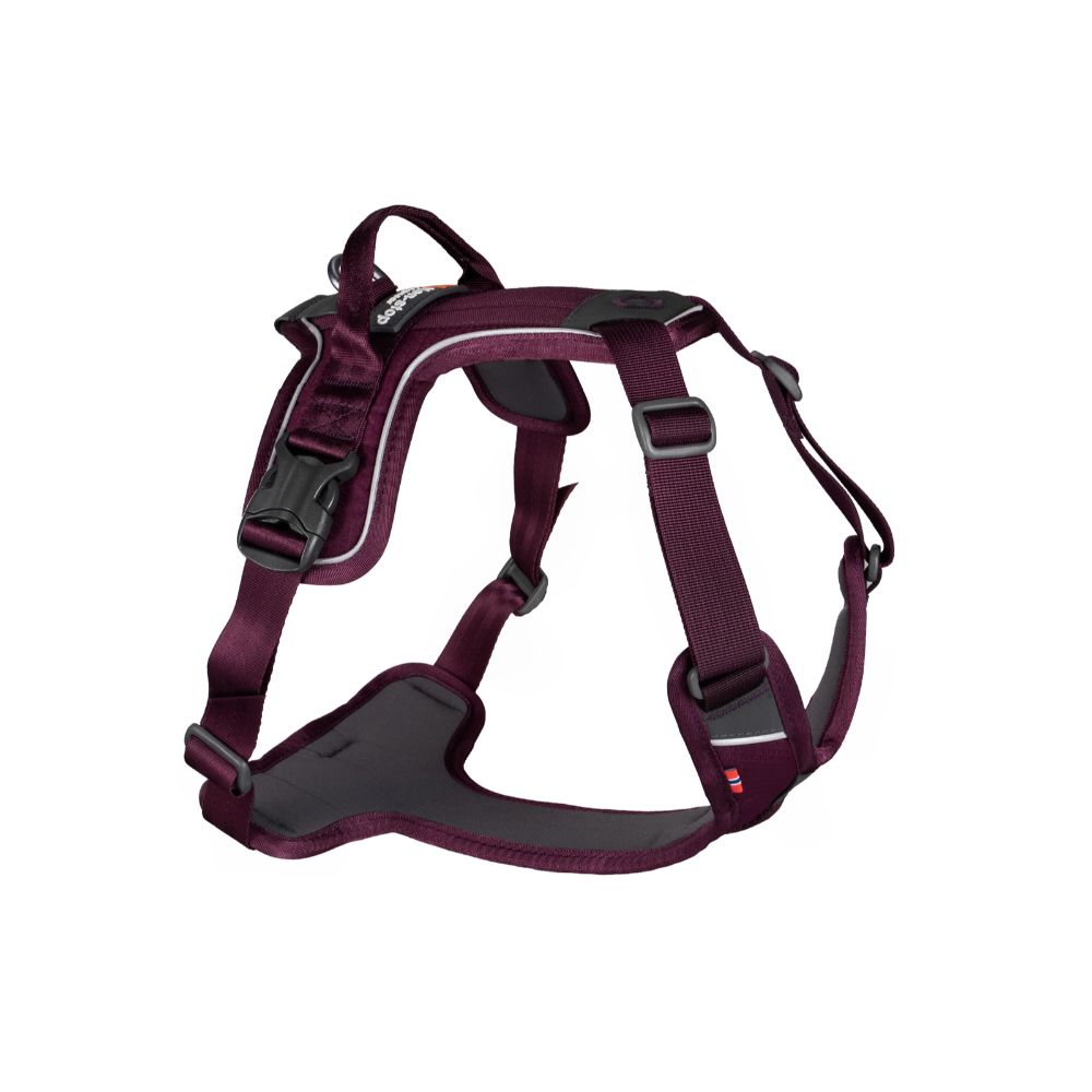 Non-Stop Unisex Harness For Dogs Ramble Purple