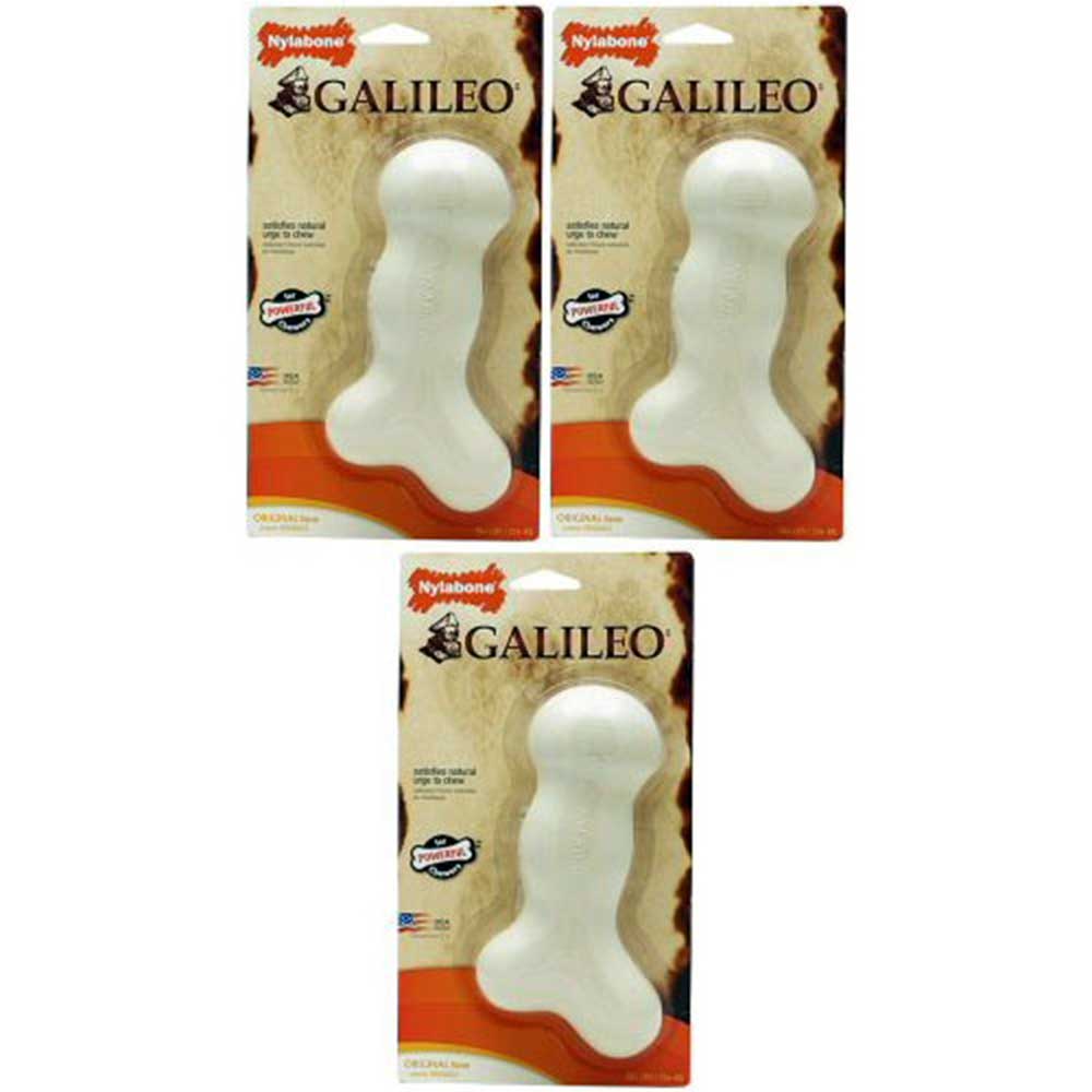 Nylabone DuraChew Galileo Bone