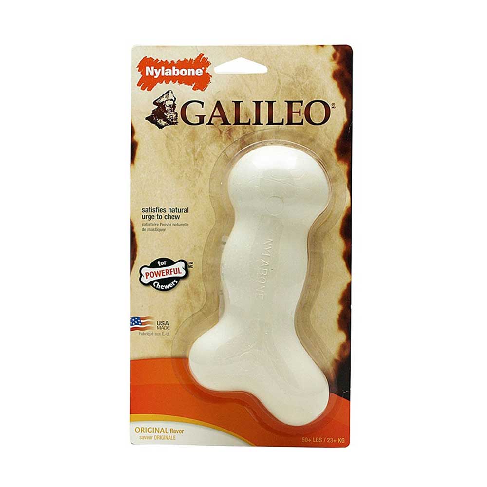 Nylabone DuraChew Galileo Bone Original Flavor Dog Toy, Souper Size