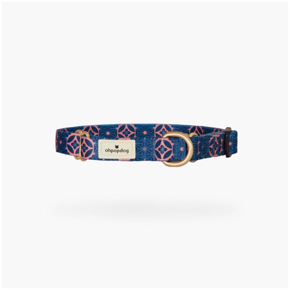 Ohpopdog Baba Navy Martingale Nylon Collar