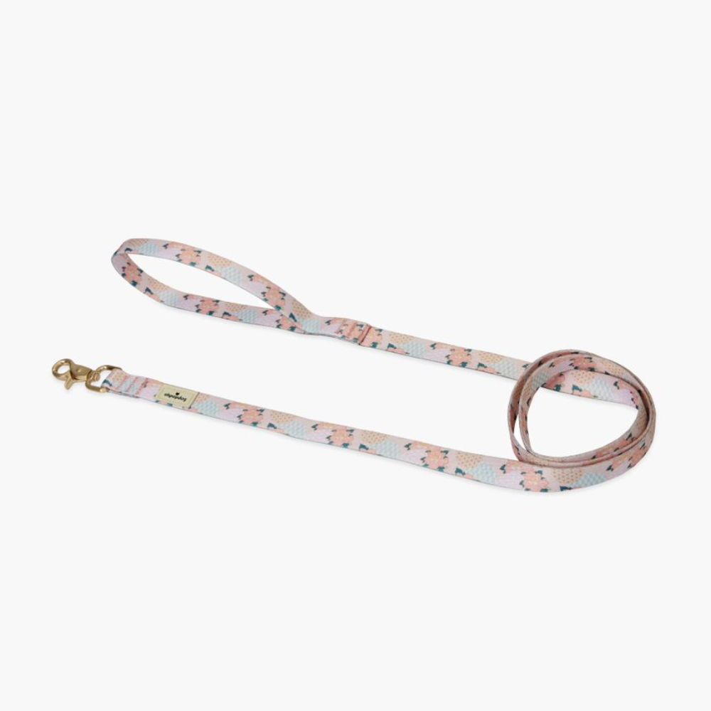 Ohpopdog Botan Nylon Leash XS