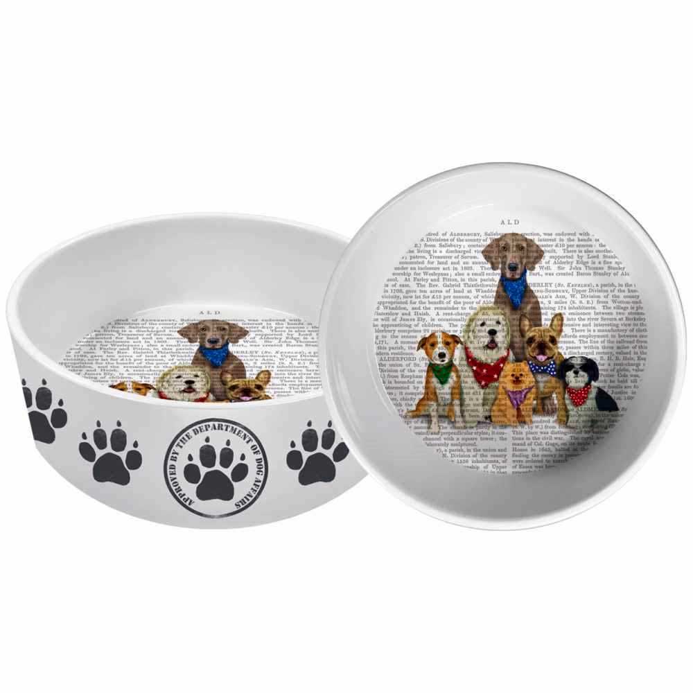 PPD Paw Paw Gang 8" Pet Bowl