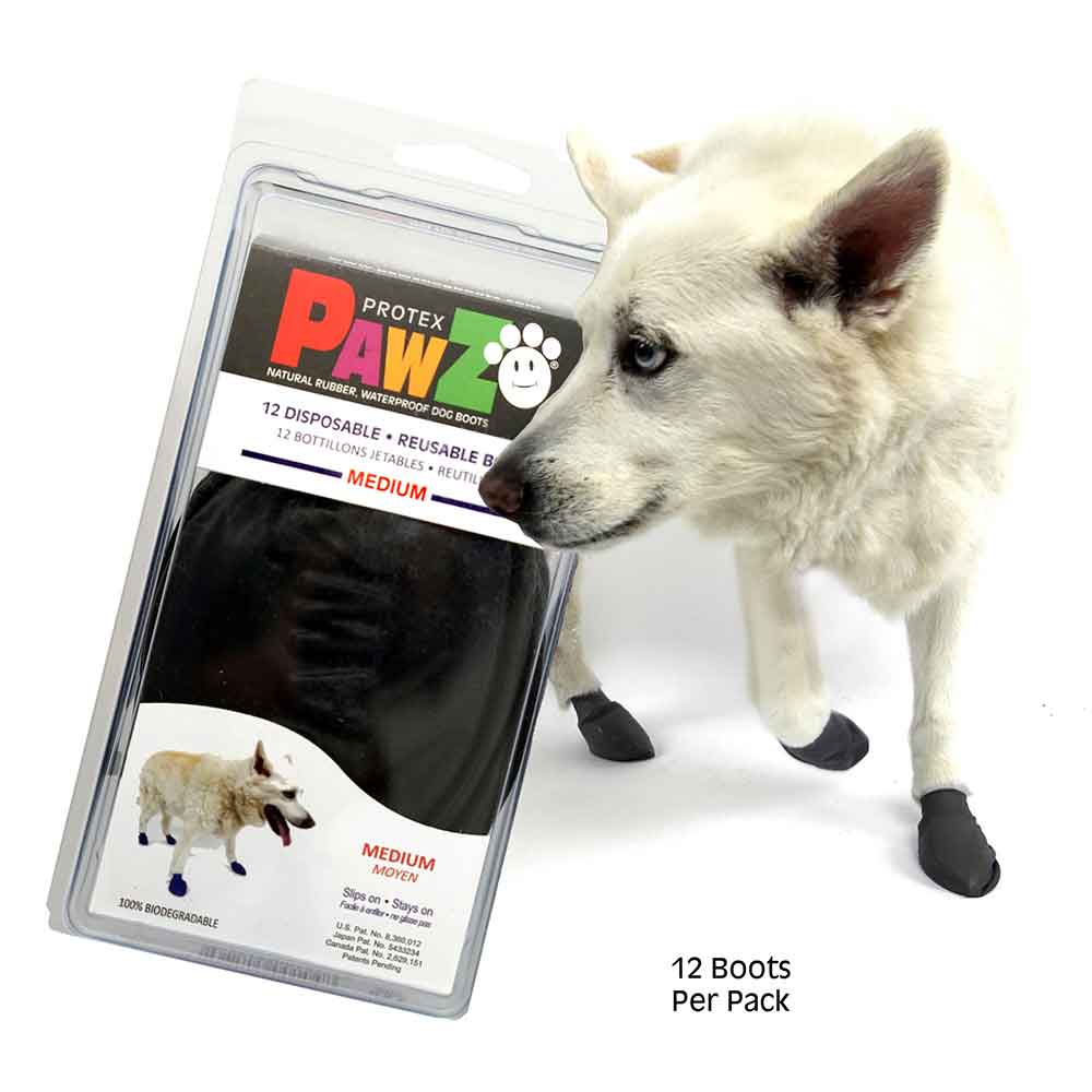 Pawz Disp Rubber Dog Boots Black Medium