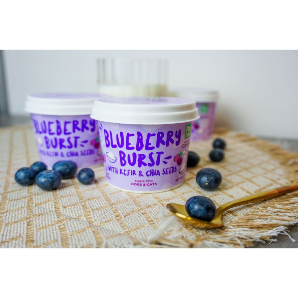 PetCubes Ice Cream for Dogs Blueberry