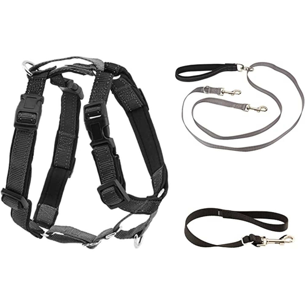 PetSafe 3IN1 Harness w 2 Leash Black L