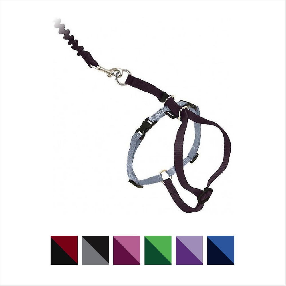 PetSafe CWMK Harness & Leash