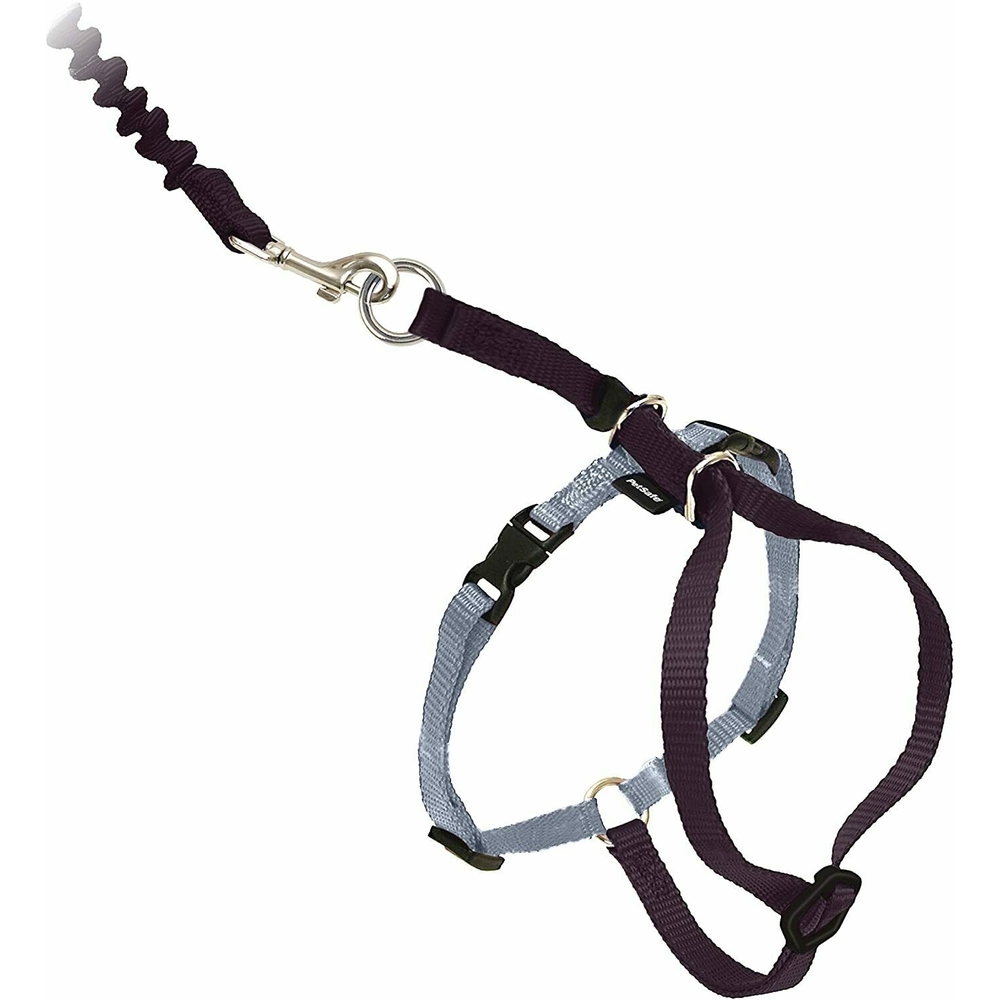 PetSafe CWMK Harness & Leash Black L