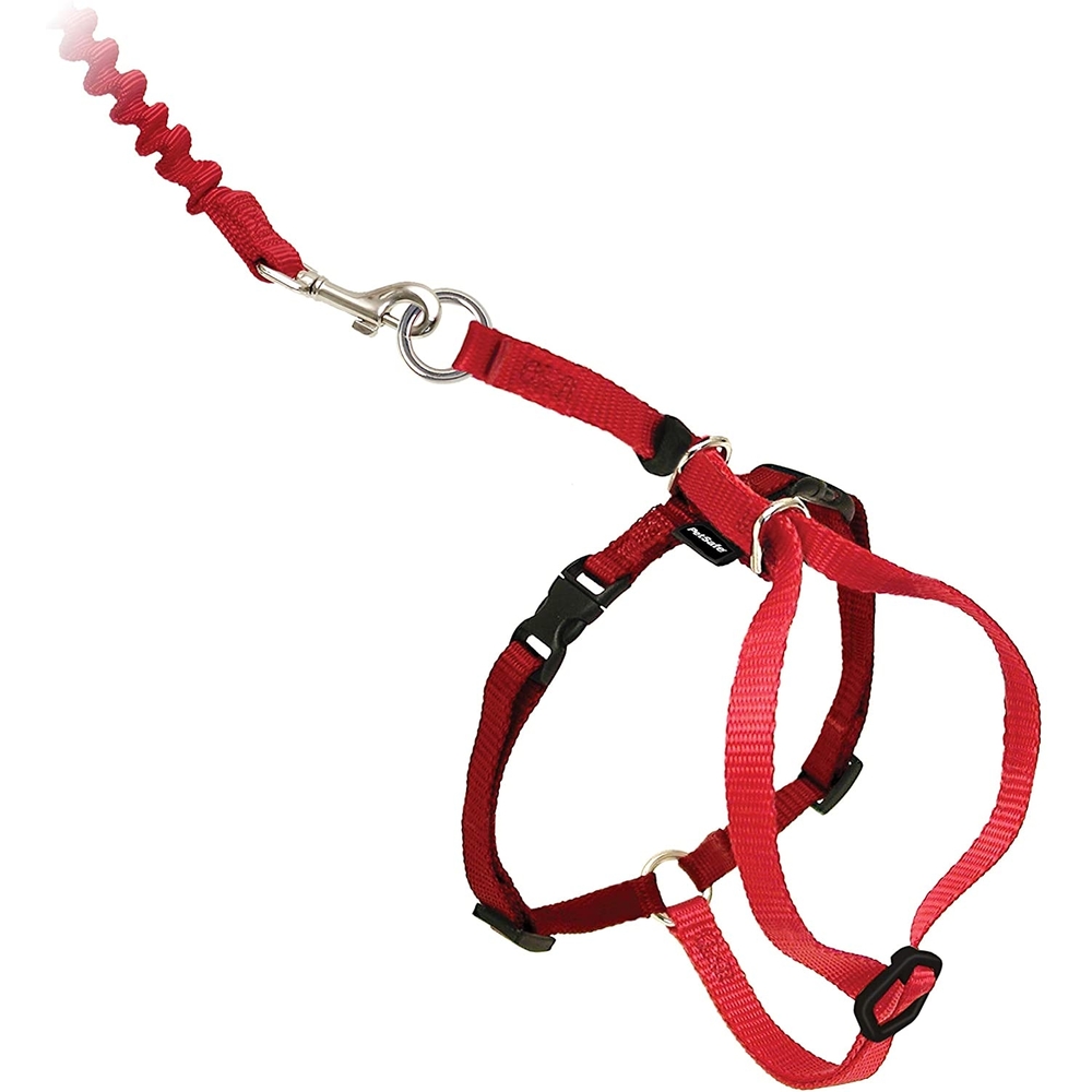 PetSafe CWMK Harness & Leash Red M