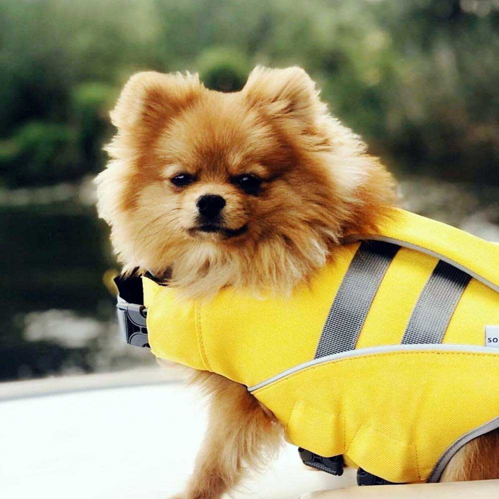 Petsochic Dog Life Jackets Yellow Large