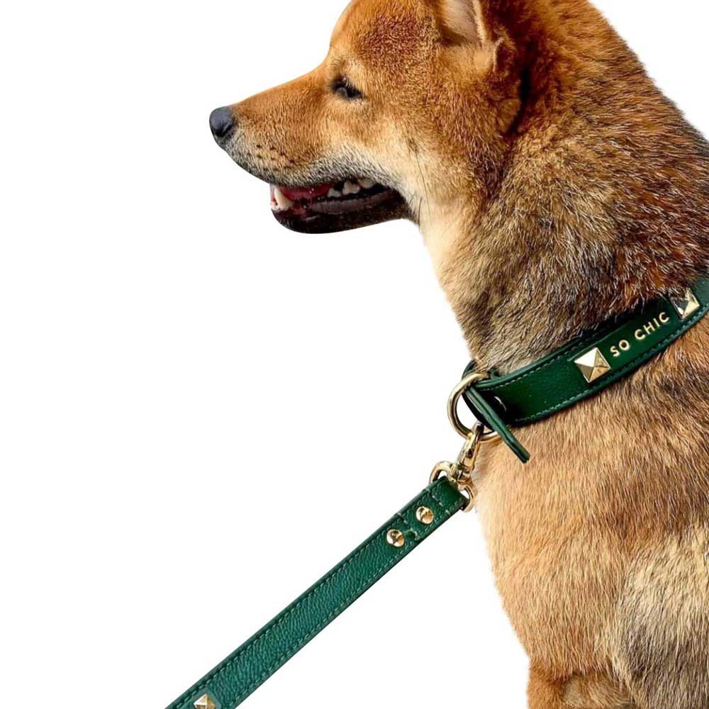 Petsochic Leather Dog Collar Green Medium