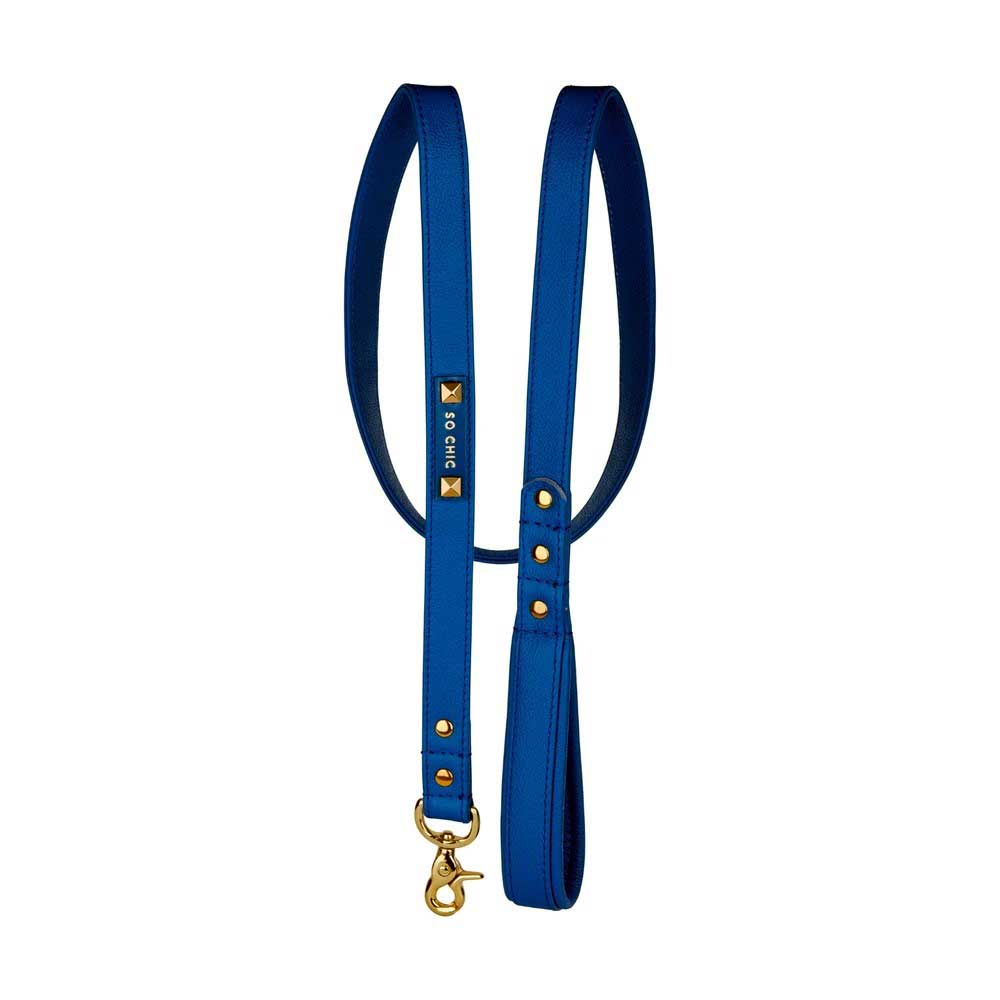 Petsochic Leather Dog Leash Blue Large