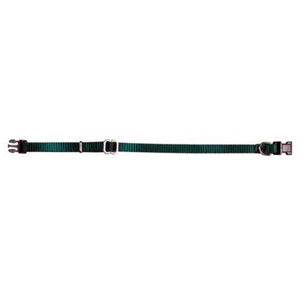 Prestige Pet Adjustable Nylon Dog Collar, Green 1" x 16-28" (41-71cm)