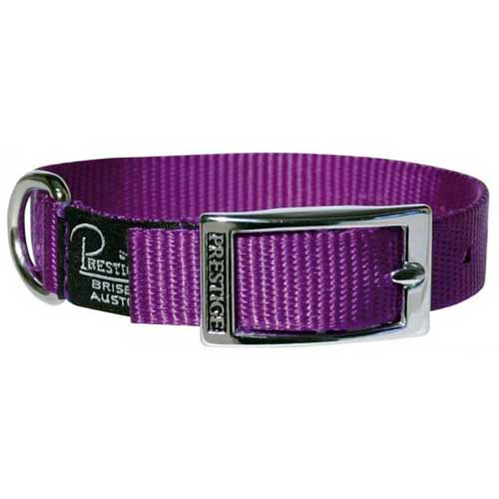 Prestige SL Nylon Collar 3/4"X 12" Purp