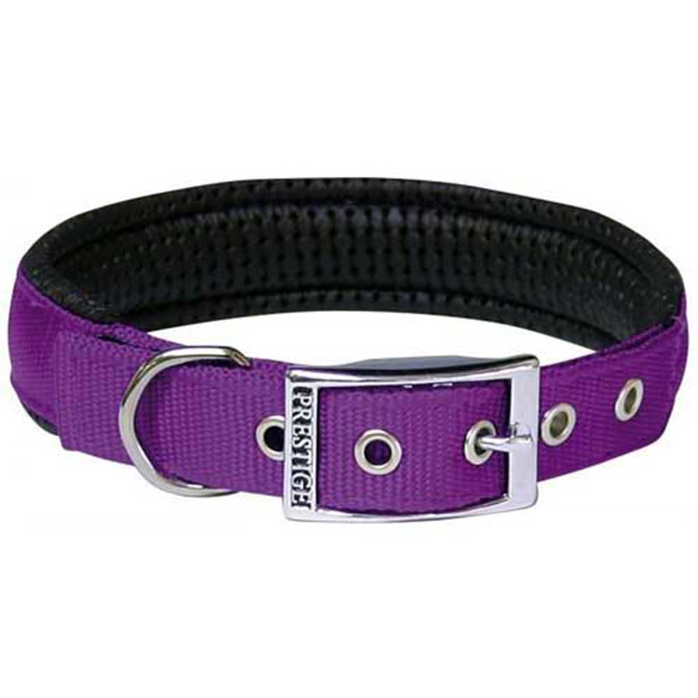 Prestige SP Collar 1" X 20" Purp