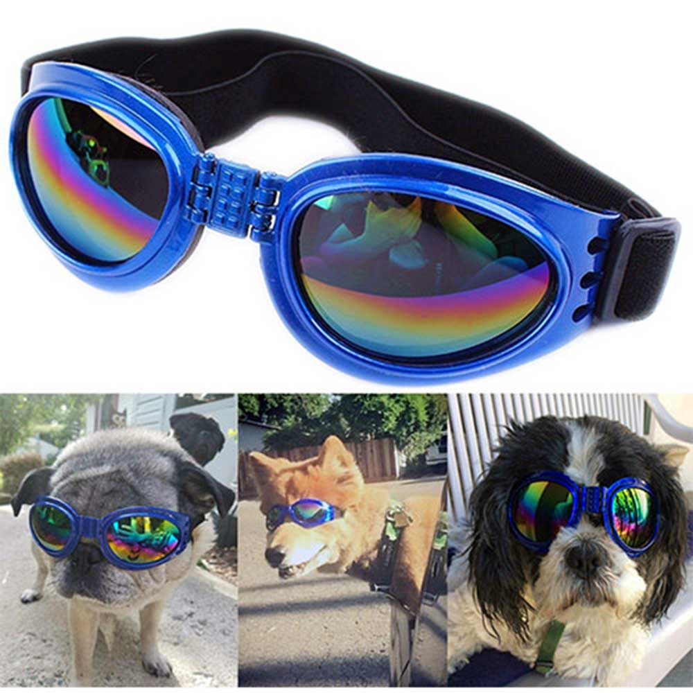 QUMY Dog Sunglasses Eye Wear Protection Waterproof Pet Goggles for Dogs about over 15 lbs, Blue