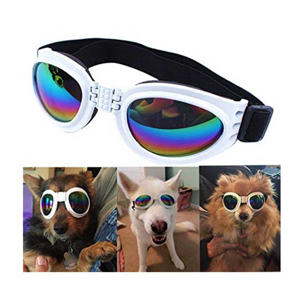 QUMY Dog Sunglasses Eye Wear Protection Waterproof Pet Goggles for Dogs about over 15 lbs, White