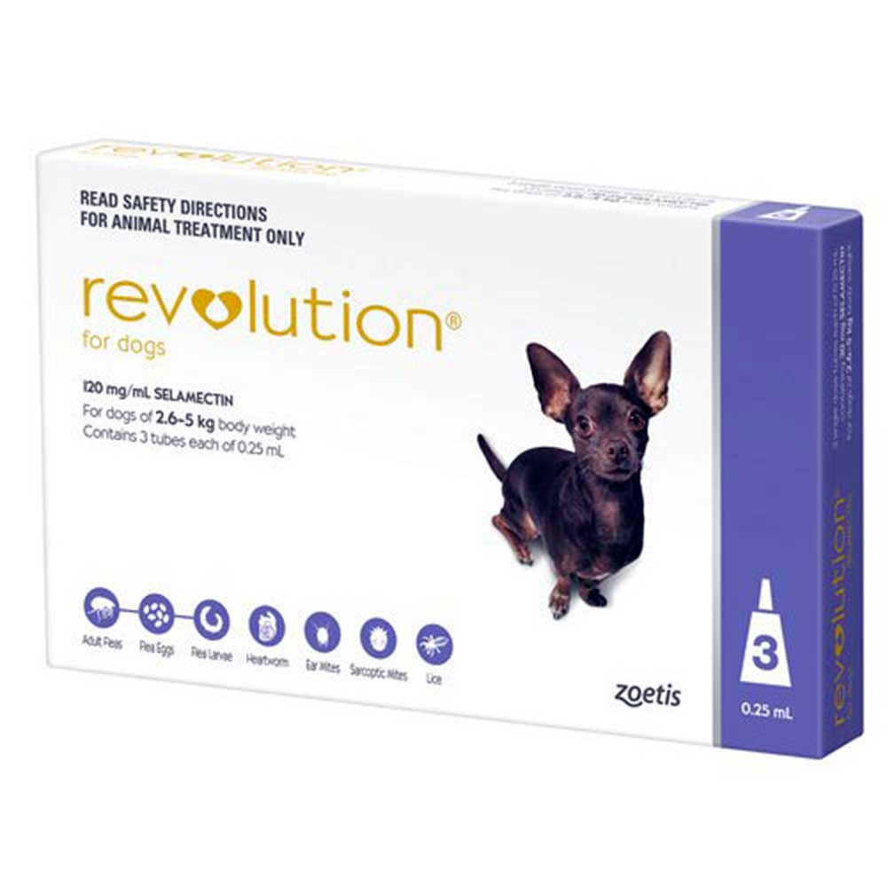 Revolution Purple X-Small 2.5-5Kg 6Pk Ex