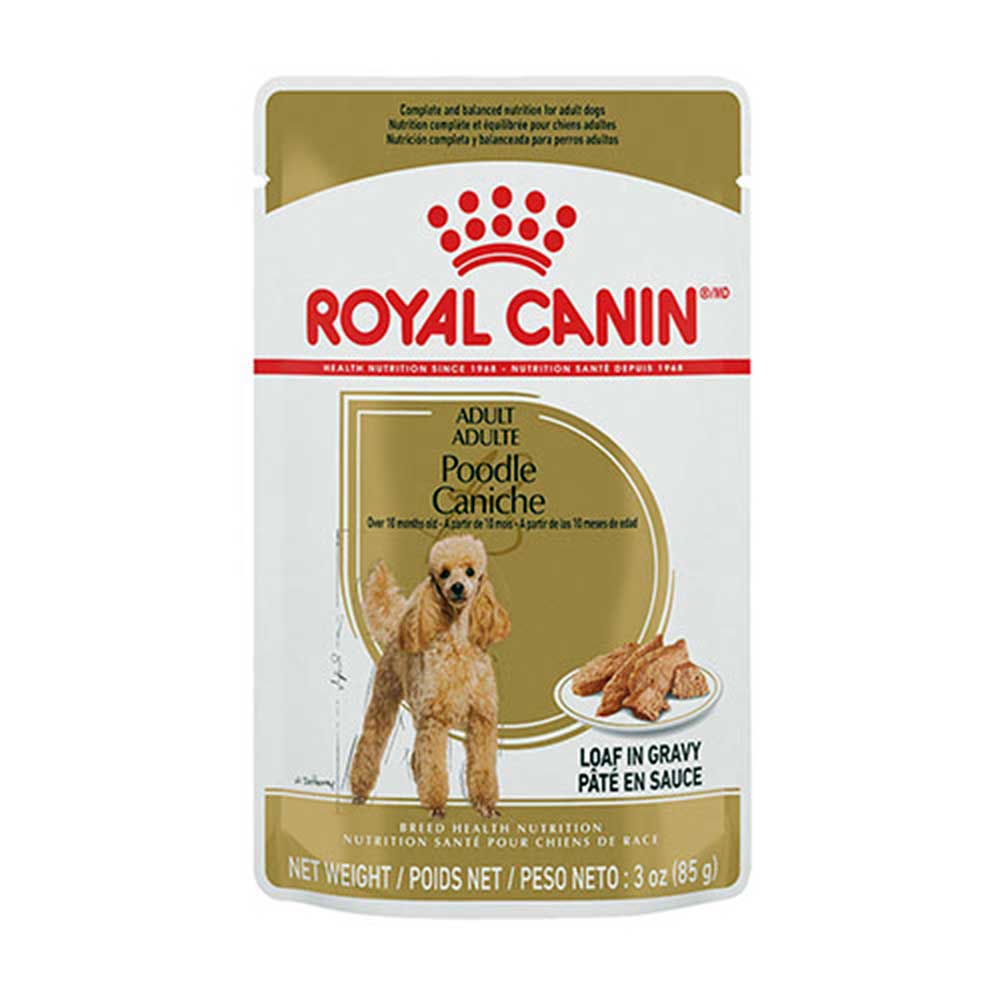 Royal Canin Poodle Adult Pouch Dog Food (12 x 85 gms)