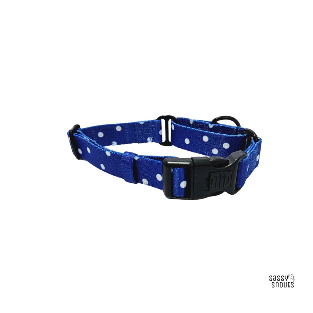 Sassy Snouts Classic Martingale Dog Collar in Whimsical Royal Gen 2.0 L 32 - 51 cm