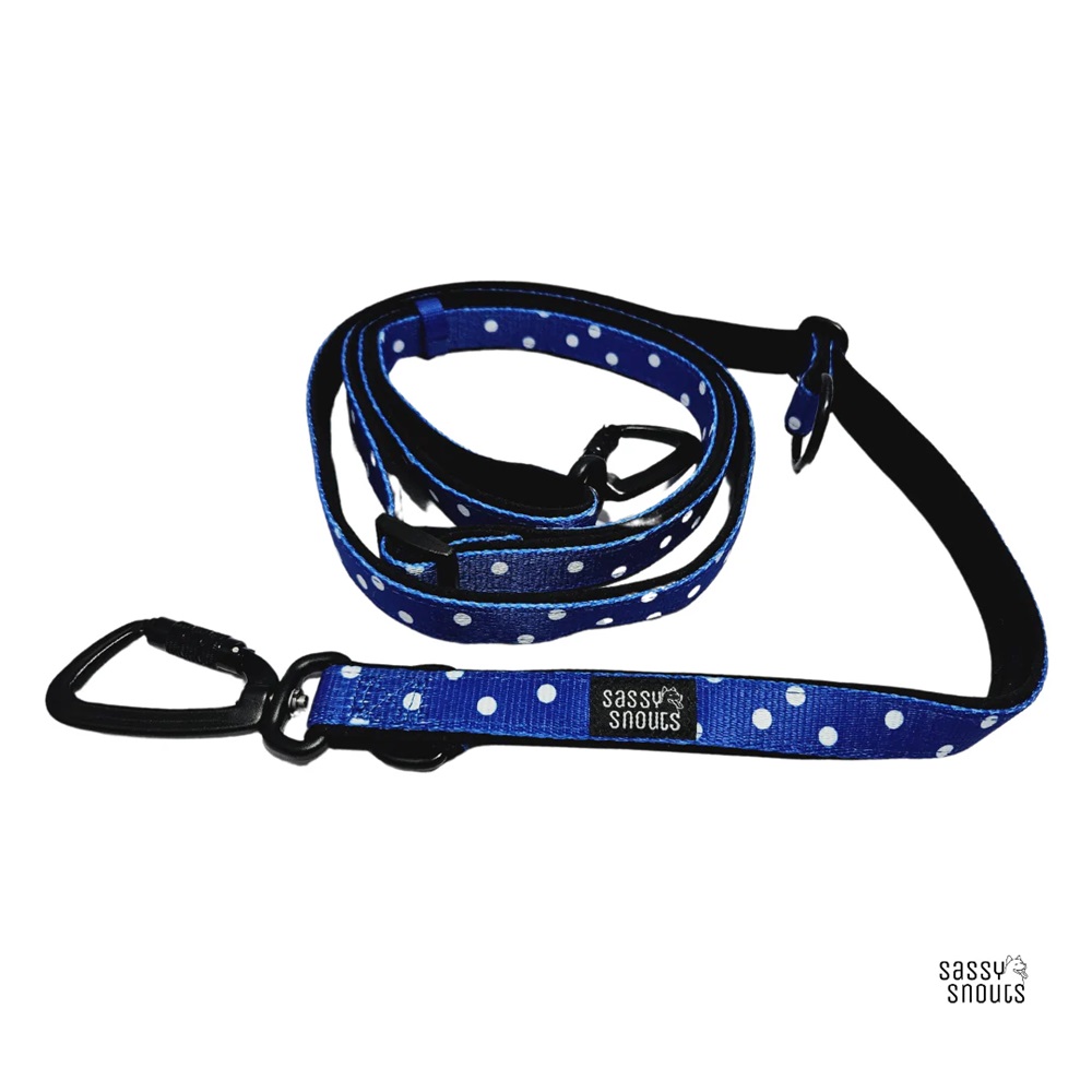 Sassy Snouts Classic Multi-way Padded Dog Leash in Whimsical Royal Gen 2.0