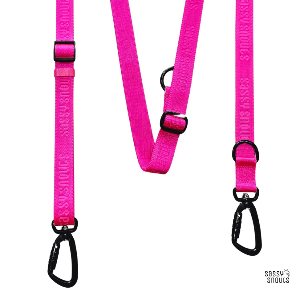 Sassy Snouts Signature Dog Leash GEN 2.0 Flamingo