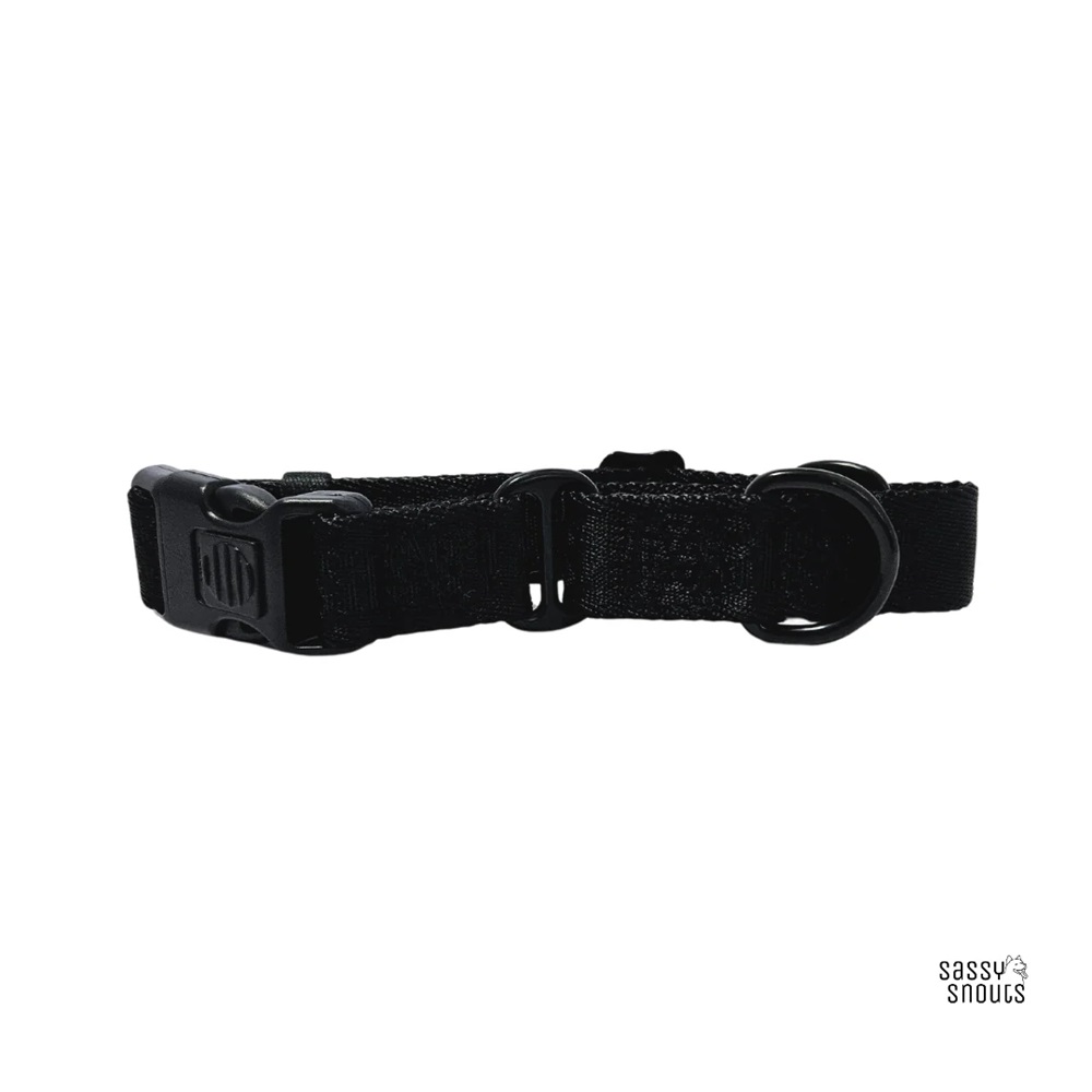 Sassy Snouts Signature Martingale Dog Collar in Luxe Black Gen 2.0 M 28 - 43 cm