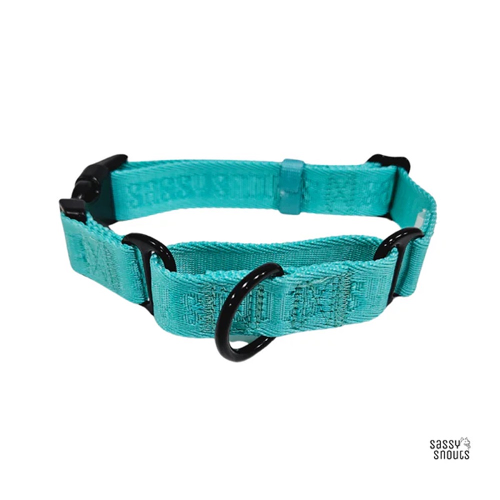 Sassy Snouts Signature Martingale Collar in Turquoise (Gen 2.0) L 32 - 51 cm