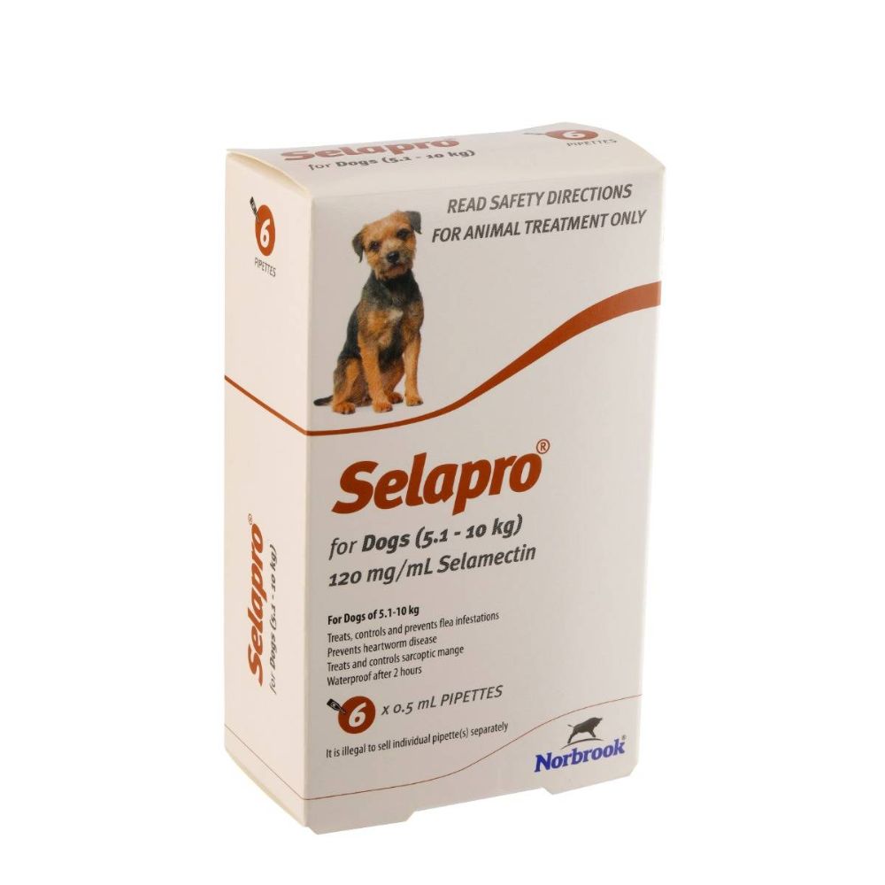 Selapro Spot On Small Dog 6pk