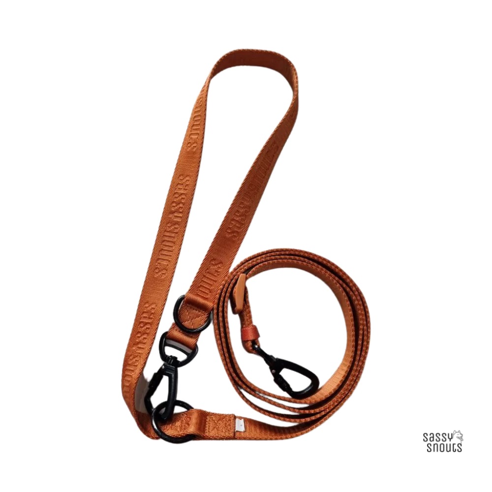 Sassy Snouts Signature Dog Leash GEN 1.0 Caramel