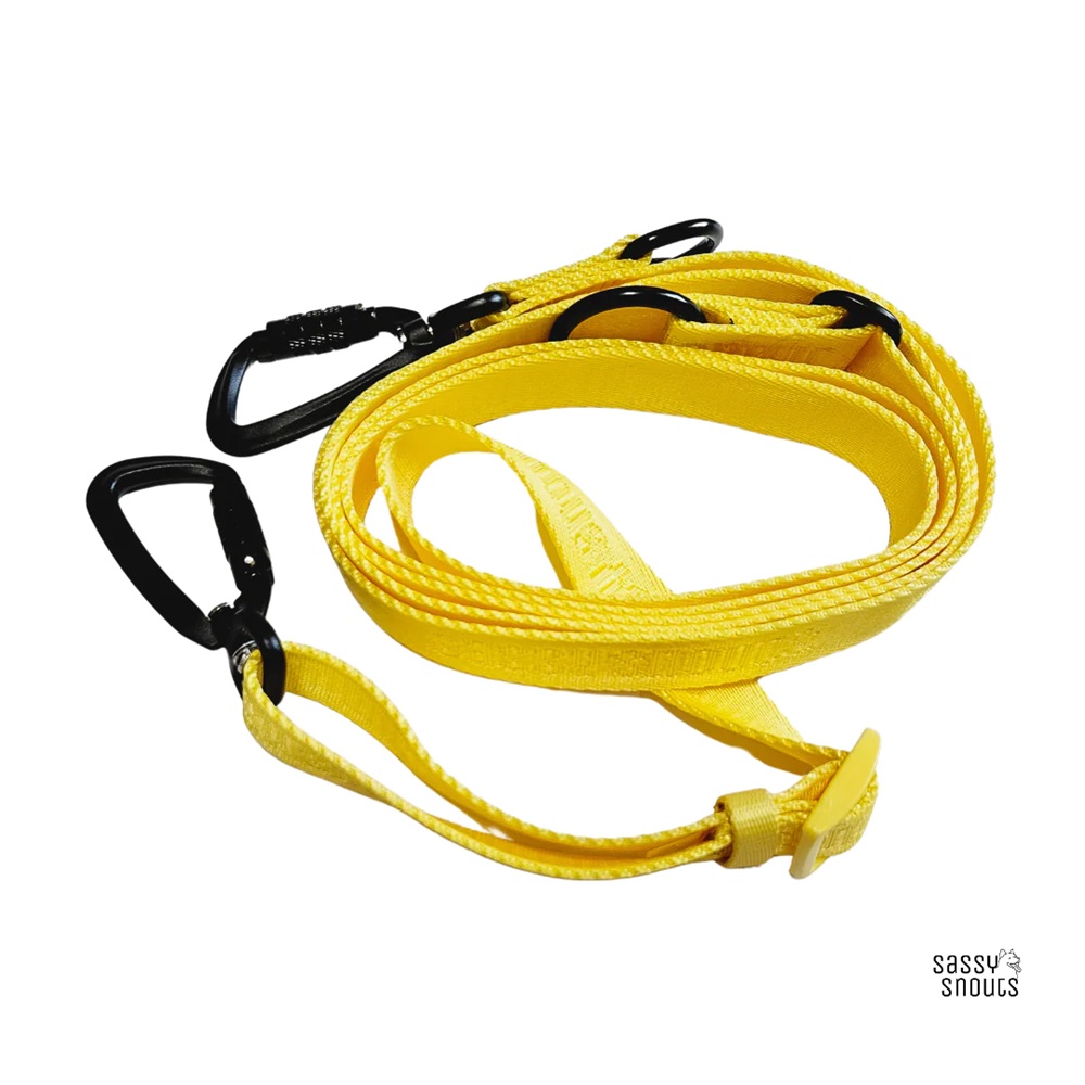 Sassy Snouts Signature Dog Leash GEN 2.0 Sunflower