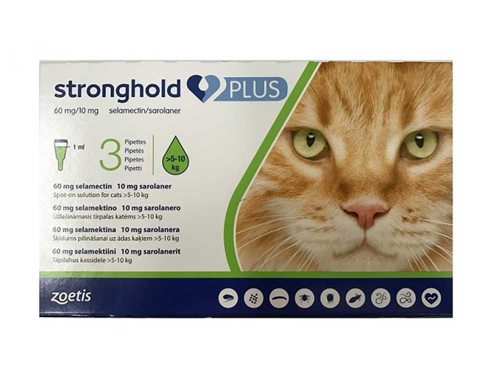 Stronghold Plus Spot-on For Cats & Kittens Large >5-10 kg