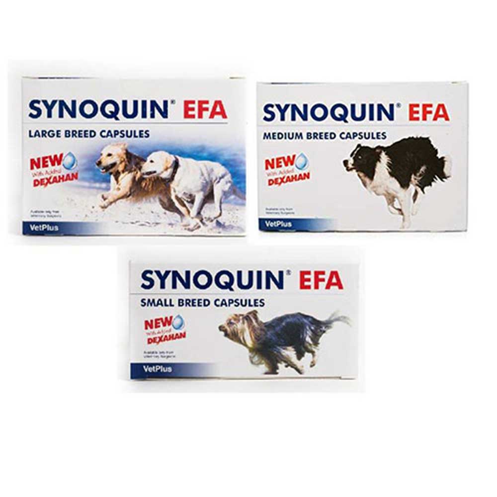 Synoquin EFA Dog Capsules Large (25-40 k