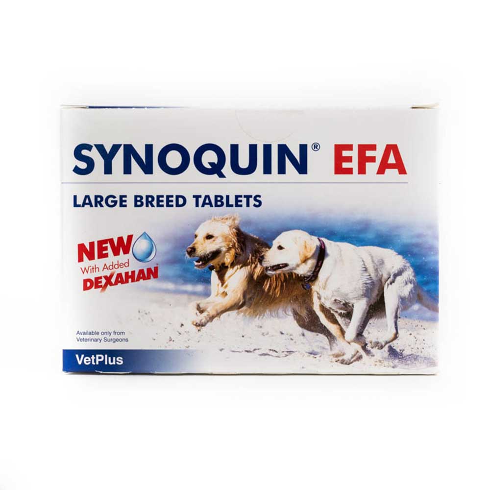 Synoquin EFA Dog Tablets Large (25-40 kg