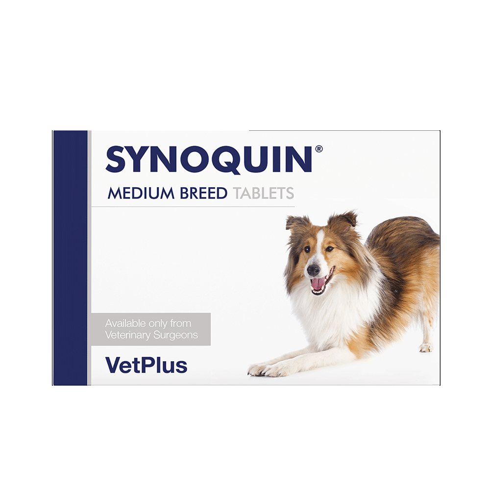 VetPlus Synoquin EFA Joint Care Supplement Tablets For Medium Dogs, 120 Pack