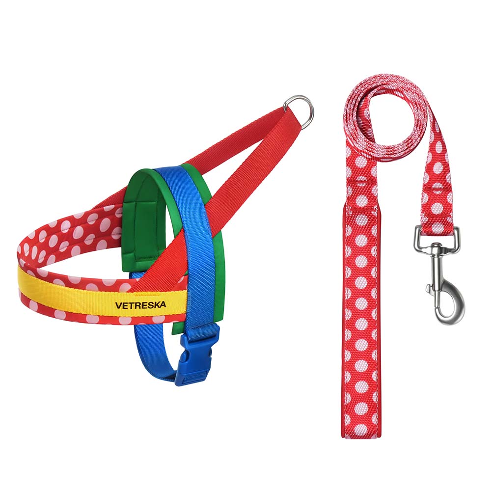 Vetreska Chroma Pet Harness & Leash Set Red