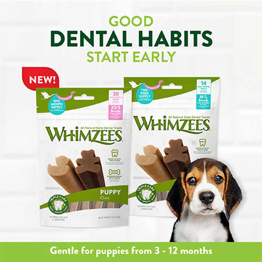 Whimzees Puppy Dental Treats