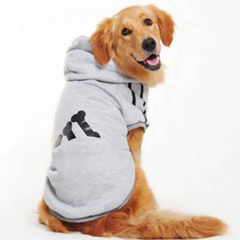 Wiggles Pet Clothes Hoody Grey XXL