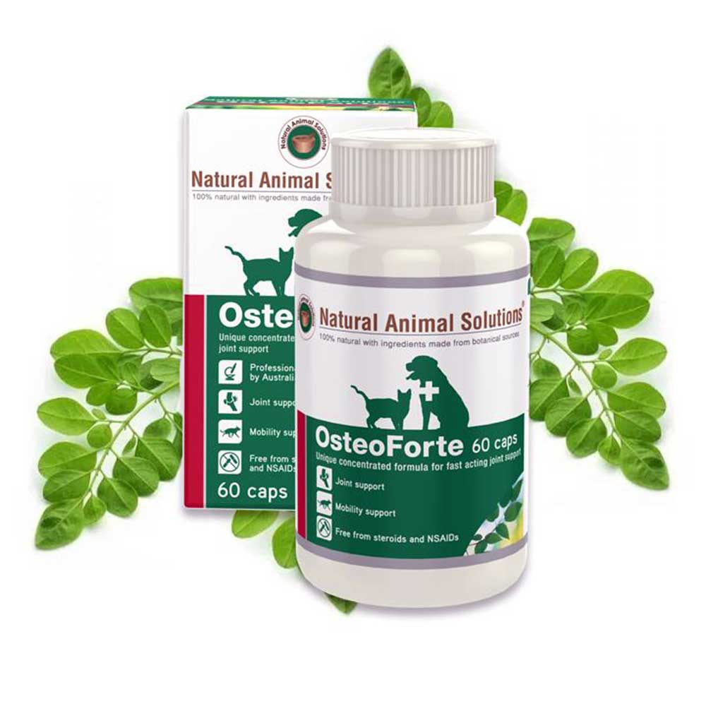 Natural Animal Solutions OsteoForte Joint Care Supplement For Dogs & Cats