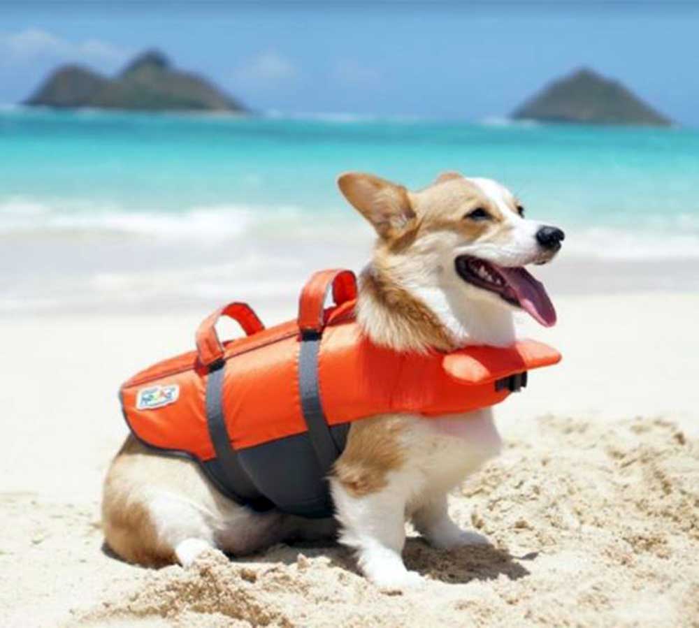 Outward Hound Dog Life Jacket