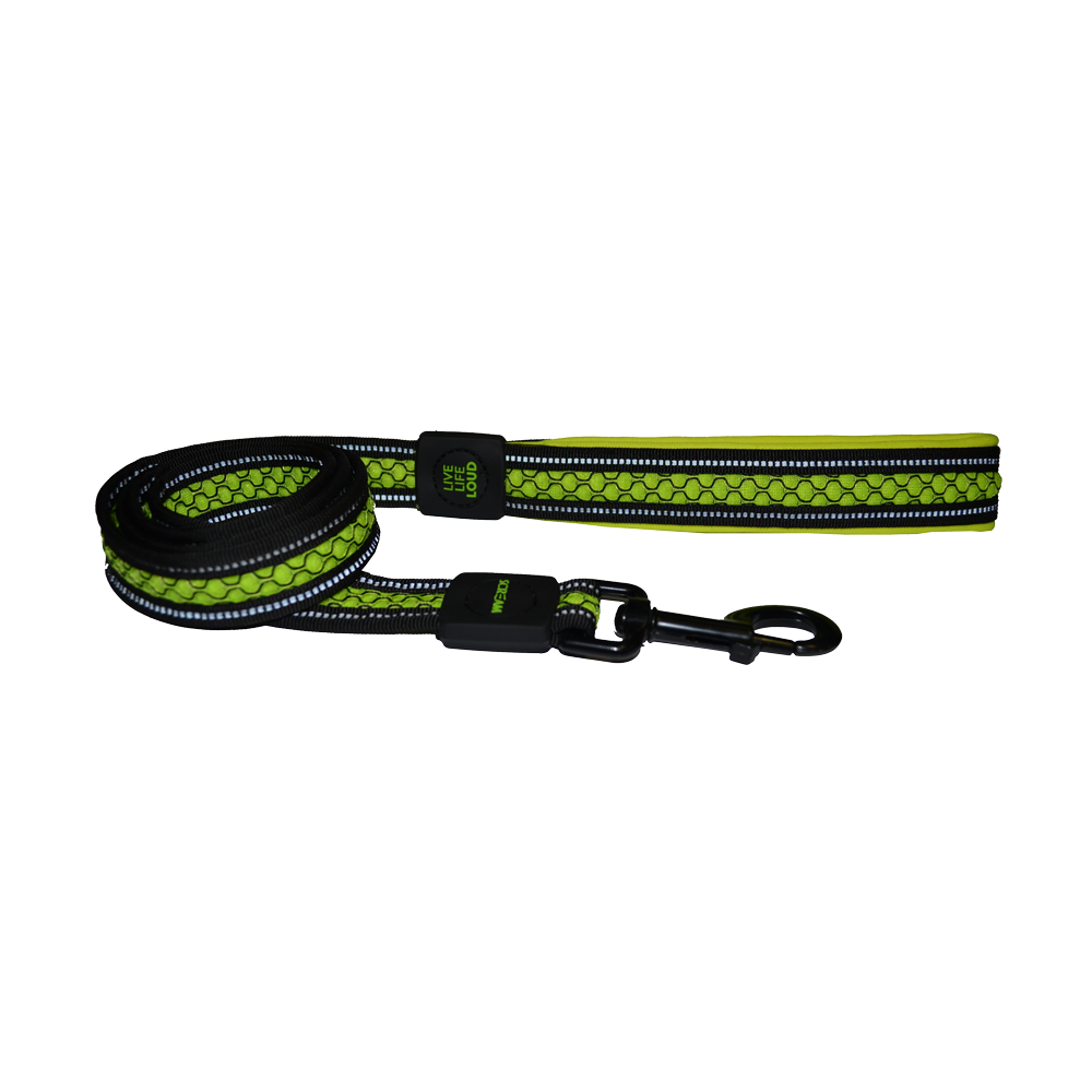 Scream Padded Leash Green 2cmx120cm